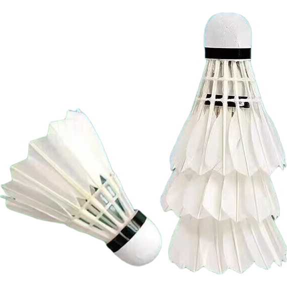 ëƷʹѵ6ֻװ12ֻװȶ״ ʹ14סѡë 1Ͳ 3ֻװ