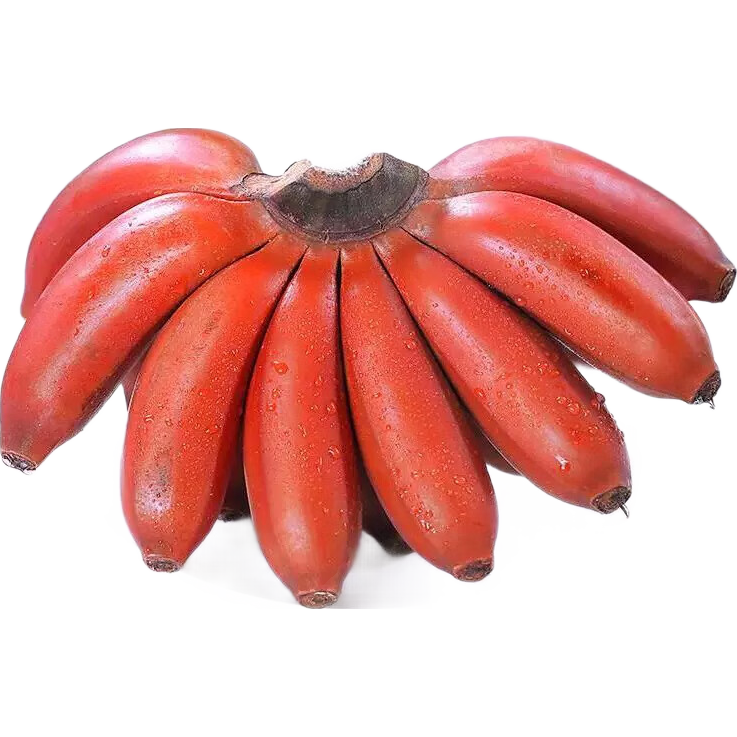 㽶˫̩ϺƤ㽶ˮƷ ˫˽ 36.9Ԫ