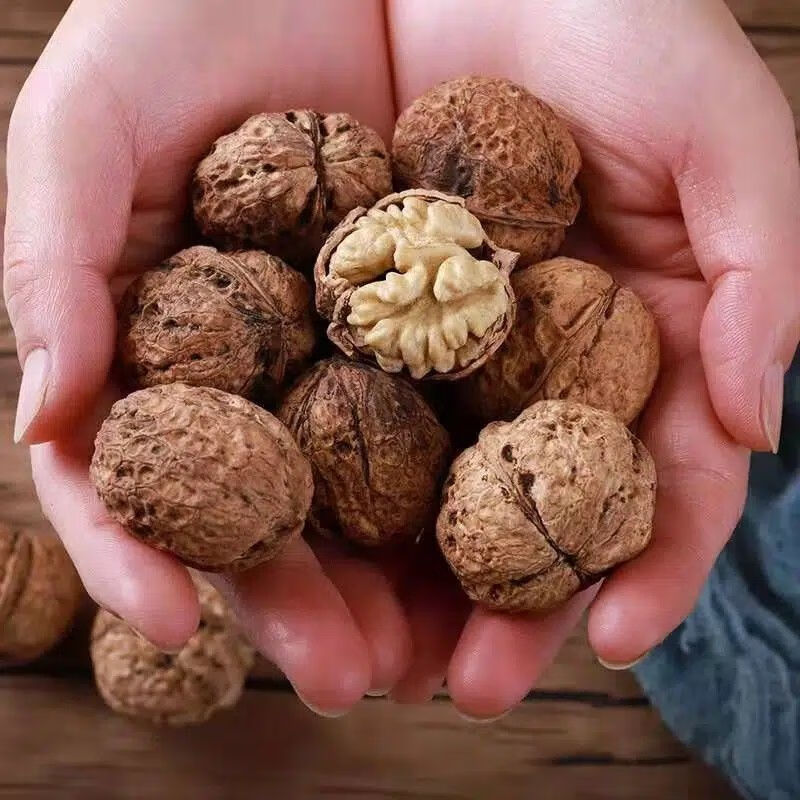云南薄皮核桃新货干核桃优选野生核桃孕妇儿童坚果原味生核桃 5斤云南高山老树核桃+不熏硫+不漂洗+送夹子