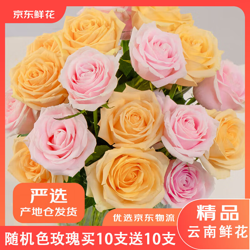 京东鲜花自营随机色玫瑰 10枝送10枝到手仅19.9元