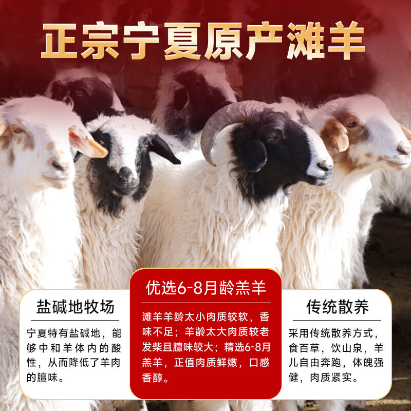 归冬 宁夏滩羊肉 原切单肋法式羊排 战斧肋排 烧烤食材 法式羊排12支