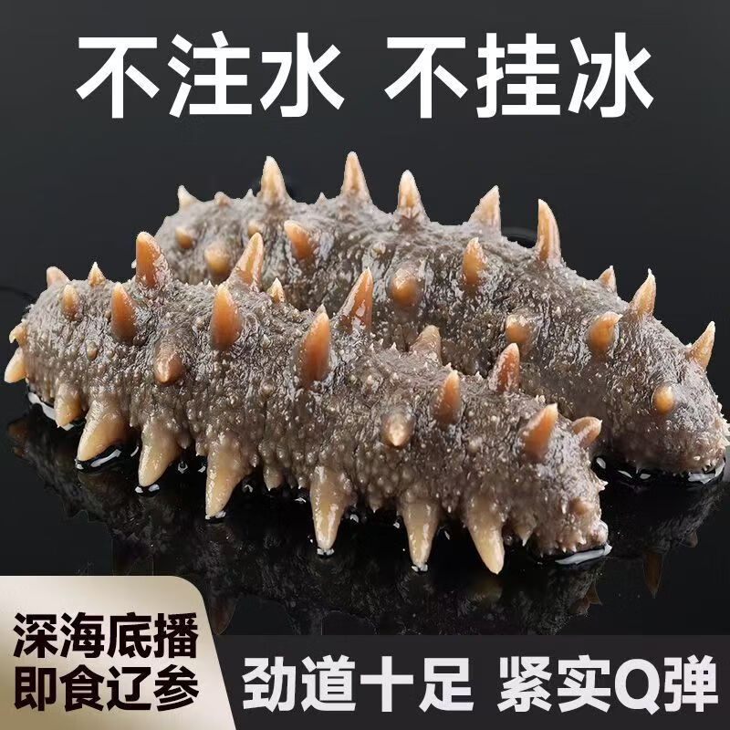 探海嫂【源头品质】高品质大连即食辽刺参 老人小孩孕妇滋补共20只 500g