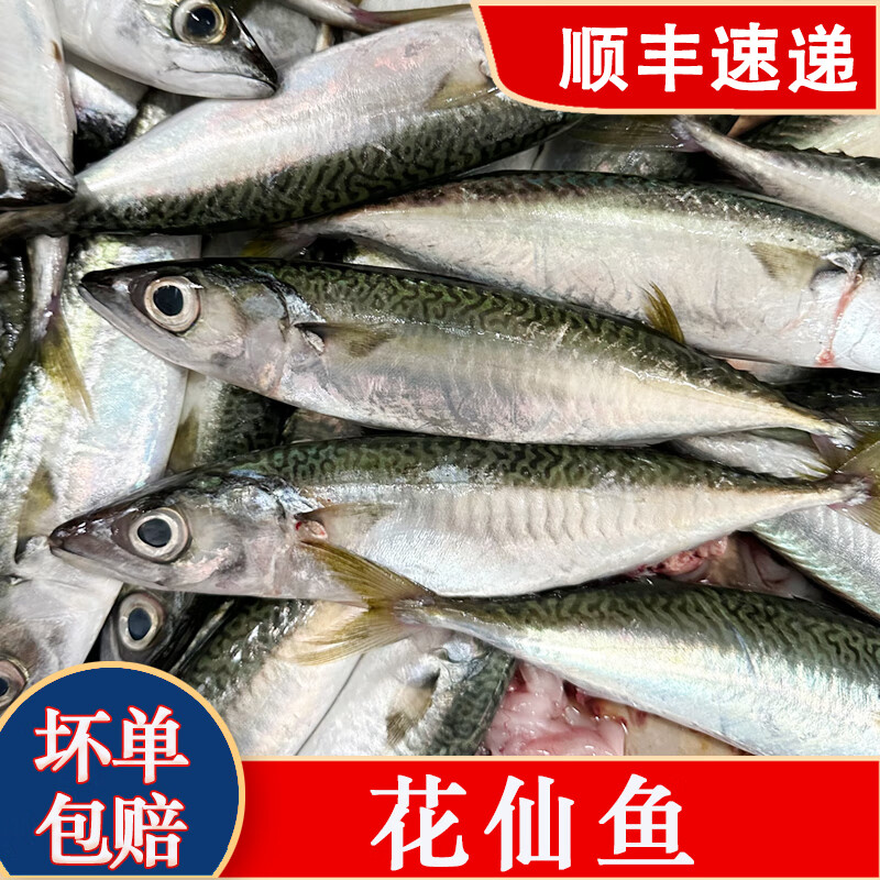 花仙鱼潮汕海鲜海捕花娇鱼花池鱼海鲜水产海鱼 1斤