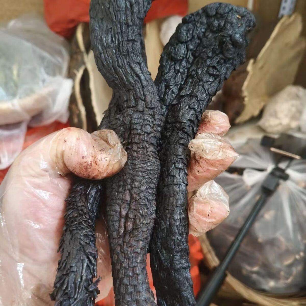 阿拉善肉苁蓉正宗阿拉善油苁蓉整根发货泡茶泡酒料肉松蓉整根正品肉丛蓉油从蓉 精选好货(一根)200克左右