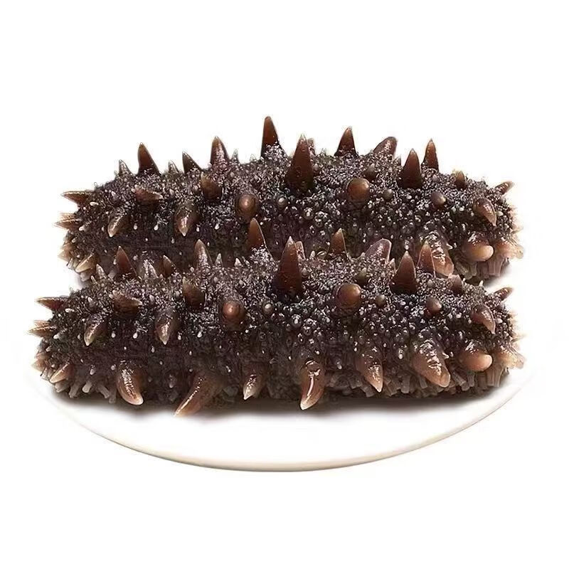 探海嫂【源头品质】高品质大连即食辽刺参 老人小孩孕妇滋补共20只 500g