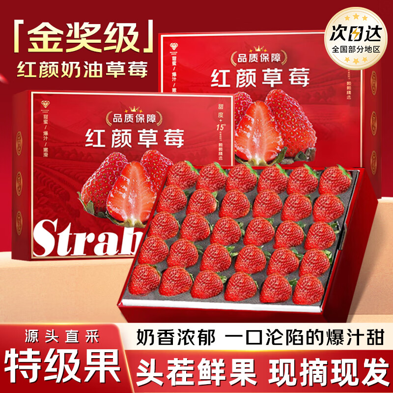 裕琼草莓 大凉山露天99红颜草莓牛奶油草莓孕妇现摘新鲜水果礼盒装 2斤装甄选果单果15-18g丨净重1.4斤