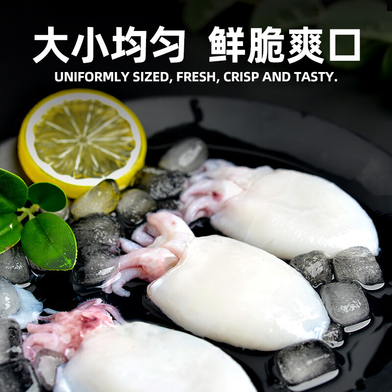应鱿尽鱿新鲜精品鲜活冷冻墨鱼仔鱿鱼小乌贼三去免处理火锅捞汁生鲜食材 【小号三去墨鱼仔】 350g(净重) 5袋(净重3.5斤)