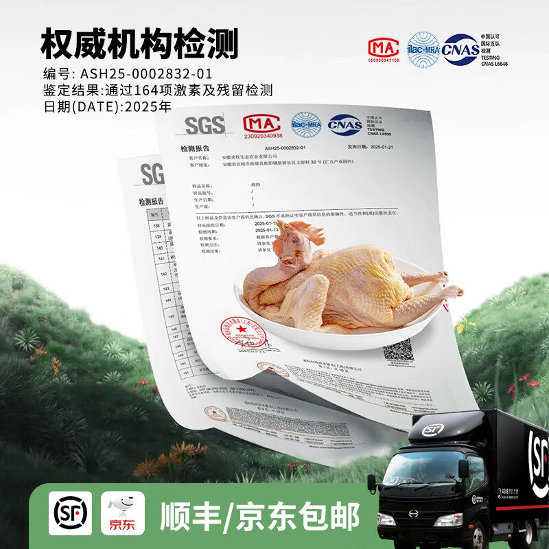 杨博士皖南散养仔公鸡1只 净重1.3斤及以上 未打鸣童子鸡三黄鸡源头直发 童子鸡+50型老母鸡