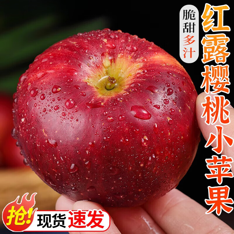 【新品】红露苹果 新鲜红露樱桃小苹 8斤 70mm(含)-75mm(不含) 【特大果】