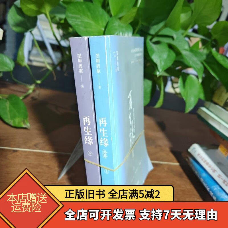 再生缘:我的温柔暴君