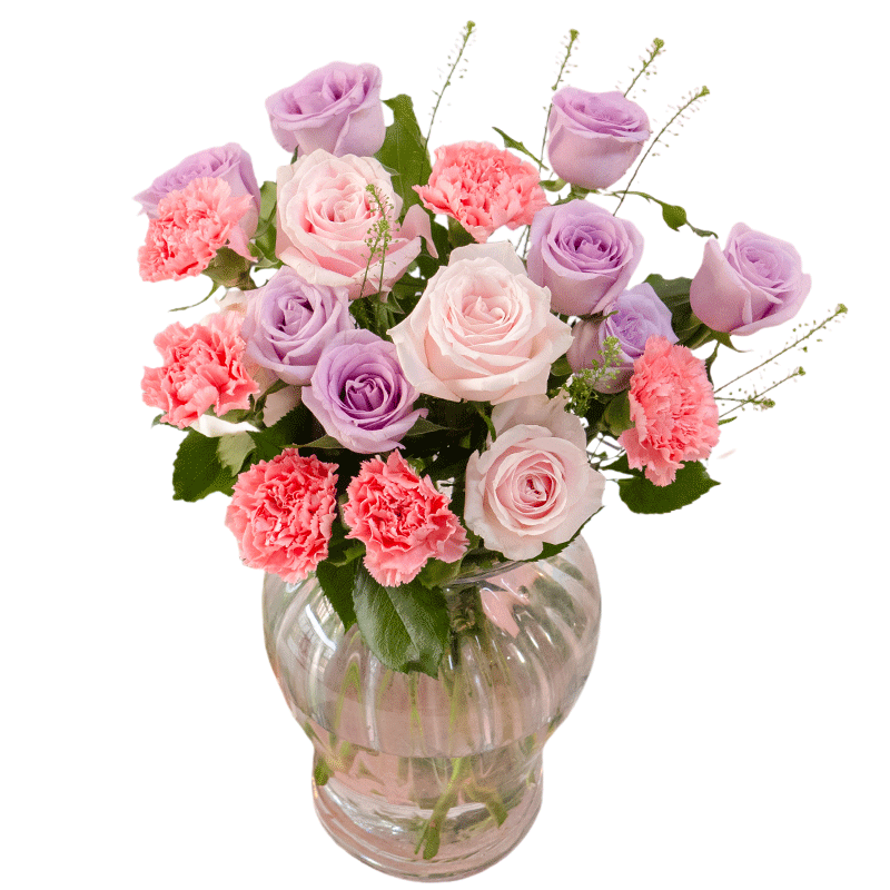 ʻ ʻֱ ͥõ念ܰ Դͷֱ 19.9Ԫ(ȯ)