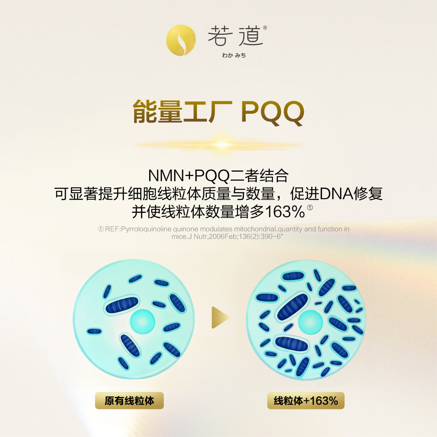 若道NMN28000 添辅酶Q10 PQQ 纳豆激酶 日本进口烟酰胺单核苷酸线粒体 NMN28000若道 80粒*1瓶