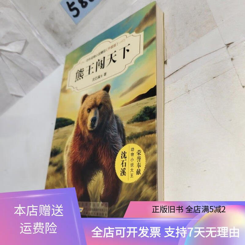 熊王闯天下 安徽少年儿童出版社