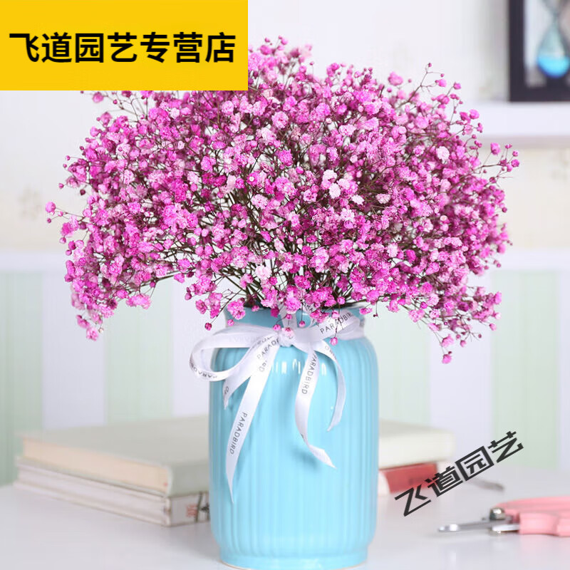 满天星鲜花云南直发吸色满天星花束一把直批发家用办公室插花干花 玫