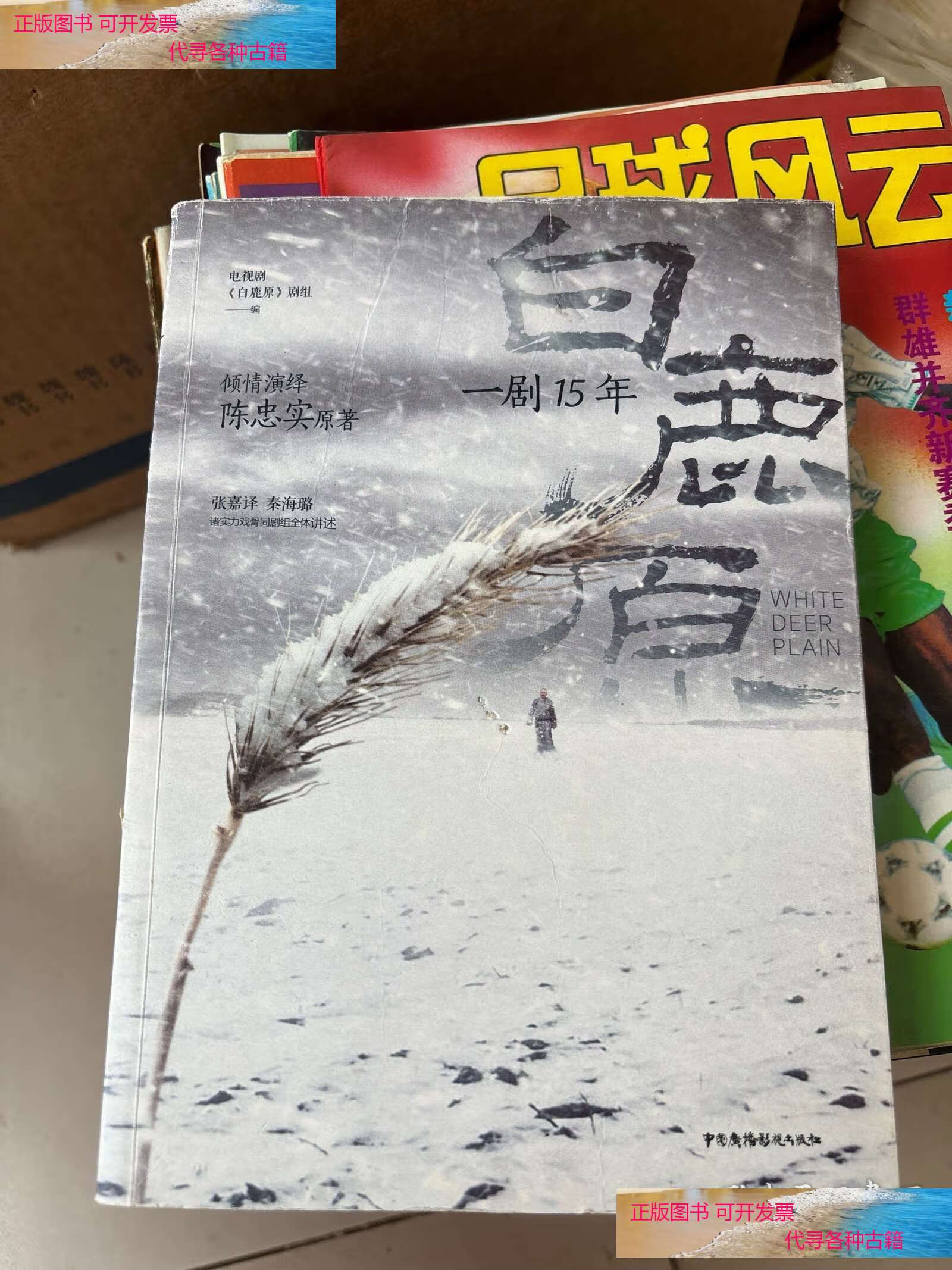 电视剧白鹿原影评