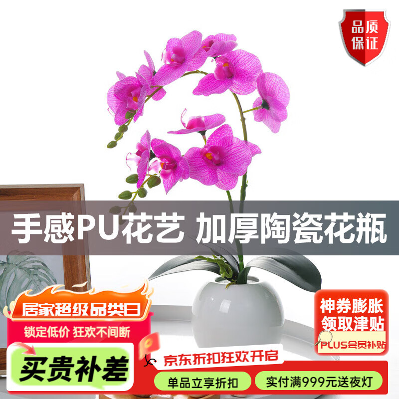 喜萊卡蝴蝶蘭仿真花盆景套裝假花蘭花盆栽客廳餐桌擺件室內裝飾品花卉 2叉PU蝴蝶蘭+升級瓷瓶