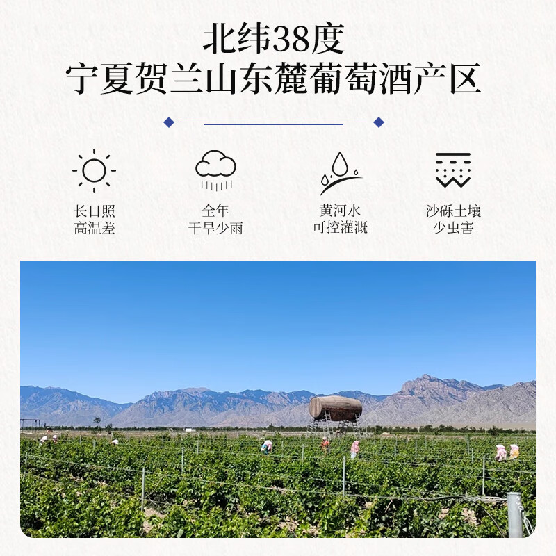 帝月宁夏贺兰山清雅干红葡萄酒赤霞珠13度整箱红酒过节送礼自饮葡萄酒 清雅750ml干红13度6瓶(塑料开瓶器×1)