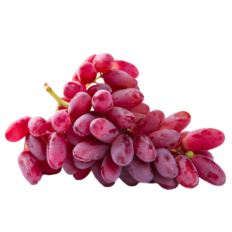 Ը˳ˡɽʴӿɭˮ 2װ