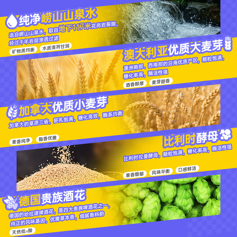 窈仙精酿啤酒（14天内生产鲜啤）  原浆黄啤 原麦汁浓度10°P精品生啤 青岛特产啤酒 1000mL 4罐