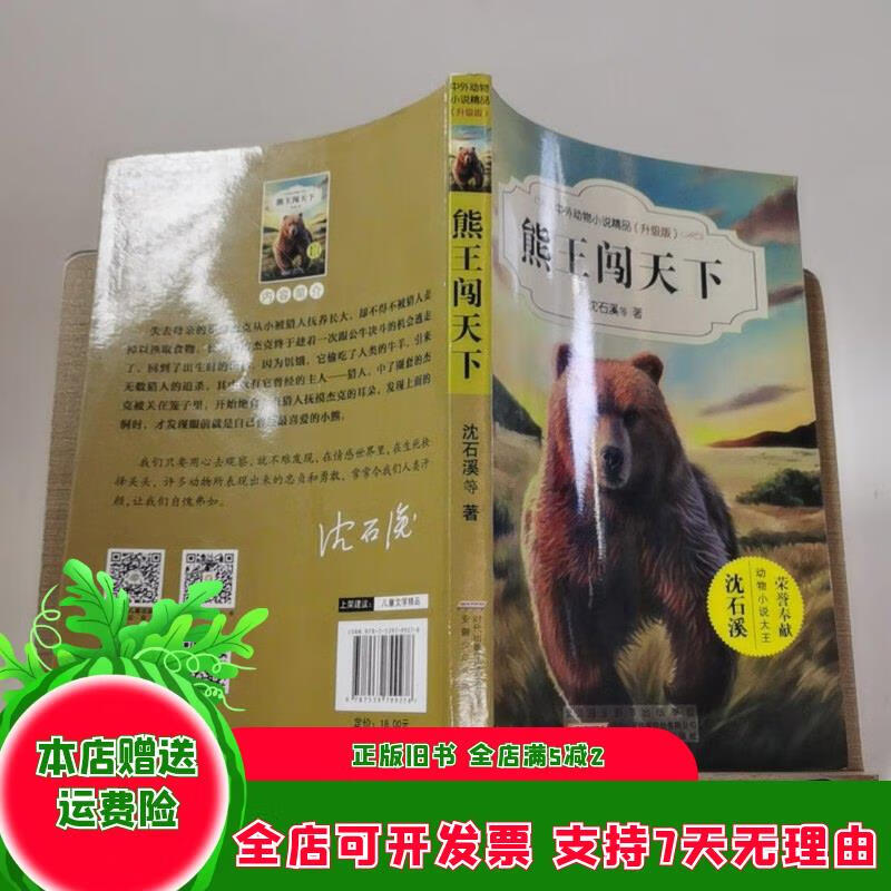 熊王闯天下 安徽少年儿童出版社