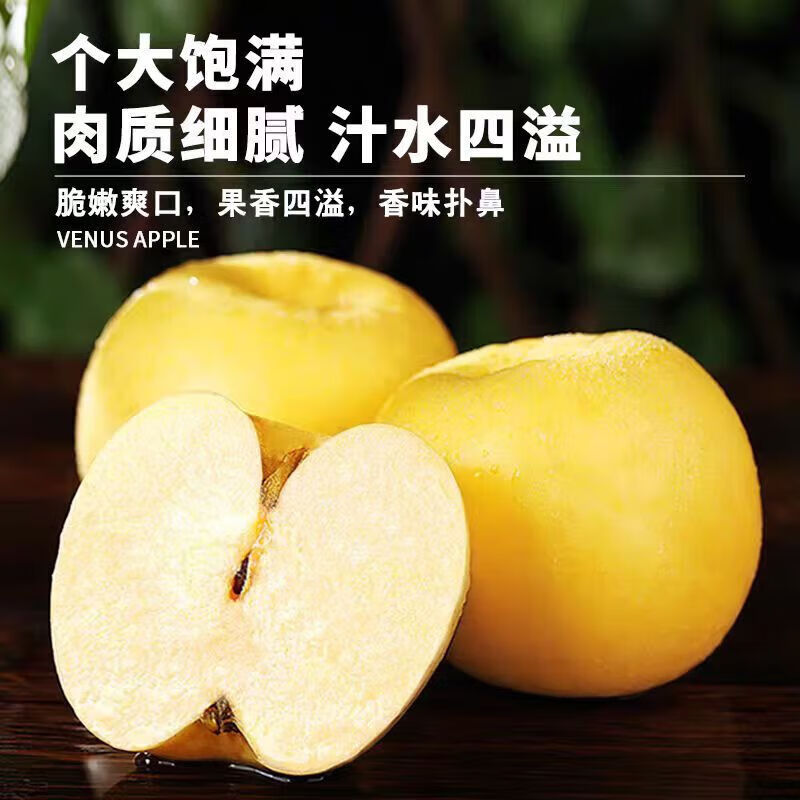 秦悦仙果鲜正宗山东黄金 维纳斯苹果 水果奶油新鲜整箱送礼 极速达 净重4.5斤【单果140g+】丨甜