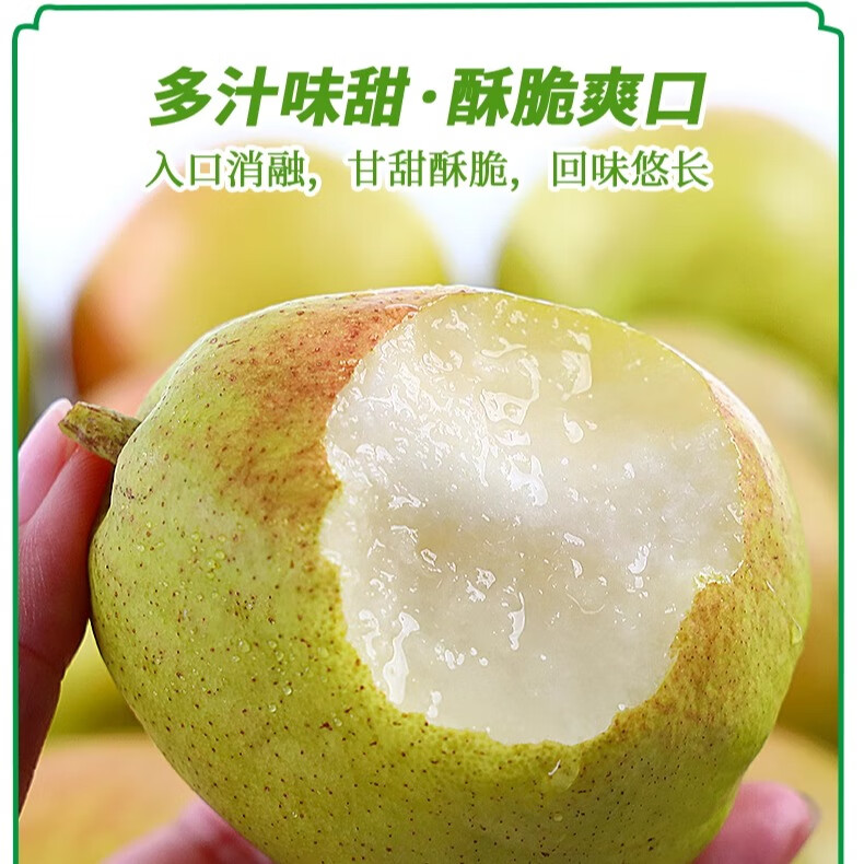 绿熊庄园正宗新疆库尔勒香梨酥脆甜多汁冰糖雪梨丑梨子果蔬生鲜水果礼盒装 2.5kg装 单果120g-180g净重4.5斤