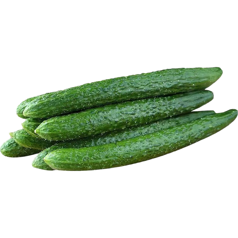 京鲜生山东新鲜长黄瓜3斤装 新鲜蔬菜瓜香四溢 源头直发包邮