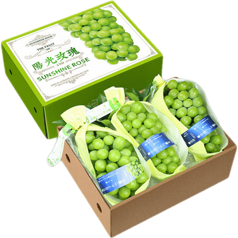 ¡ǧõӡ ˮˮװ  3ﵥ8-10gװ2.5