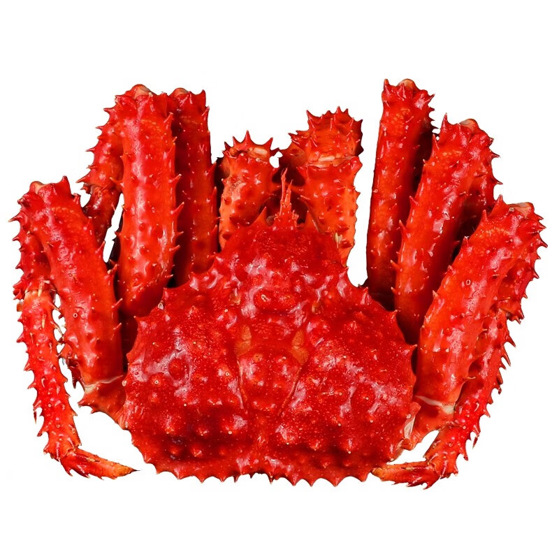 新鲜帝王蟹熟冻智利进口海鲜特大鲜活大螃蟹冰鲜水产皇帝蟹帝皇蟹 1.6-2.2斤*1只熟冻帝王蟹