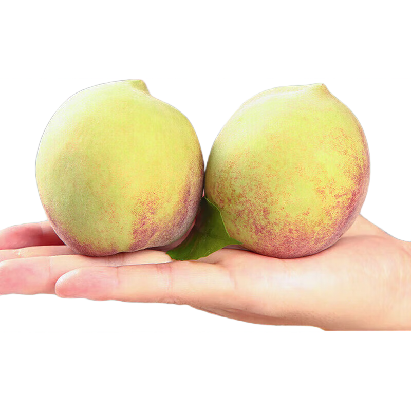 ɽ���������Ҵ�����������ˮ����ë��ˮ�������Ҷ���-�ʼ� �������Ҵ���5��19.29Ԫ(����ȯ)