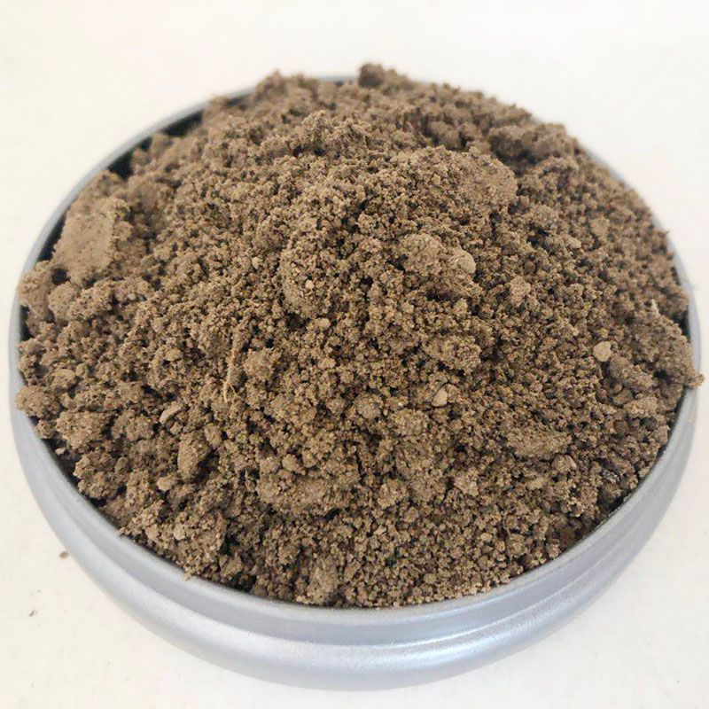 旺园兴儿菜苗娃儿菜小青菜芥菜秧苗甘蓝花菜大白菜小葱蚕豆苗带土蔬菜苗 田园土3斤