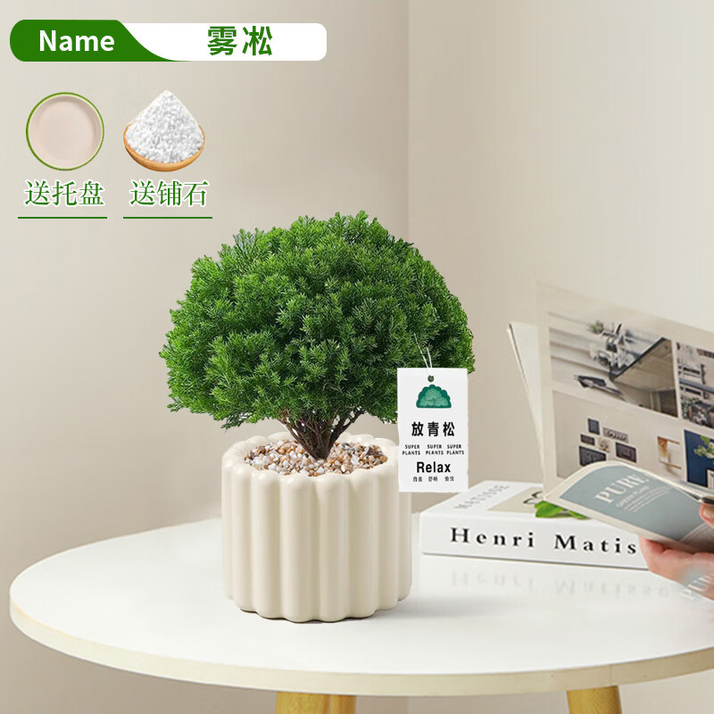 ڡСԱŷinsֲ칫ڳȩļԴͷֱ