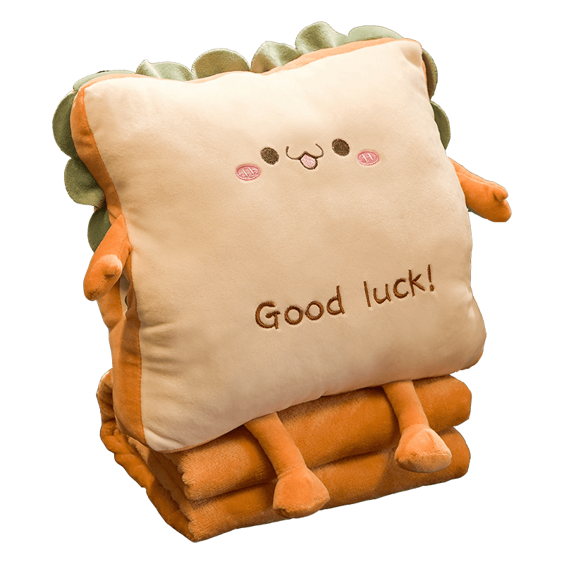 胖東来品质抱枕被子两用新款办公室暖手午睡神器枕头车用睡觉女生 可爱款 100cm*170cm 法兰绒毯子+午睡枕