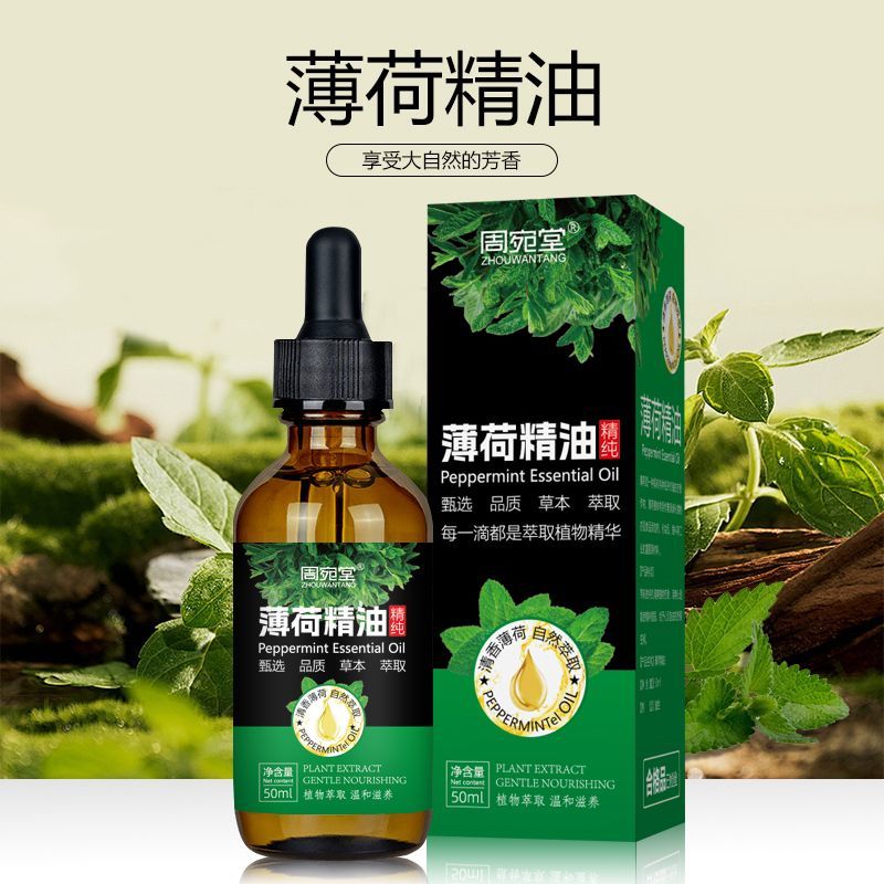 薄荷精油驱虫天然驱蚊驱鼠提神醒脑滴鼻液清凉纯油薄荷油驱虫 100毫升薄荷精油+1个喷壶