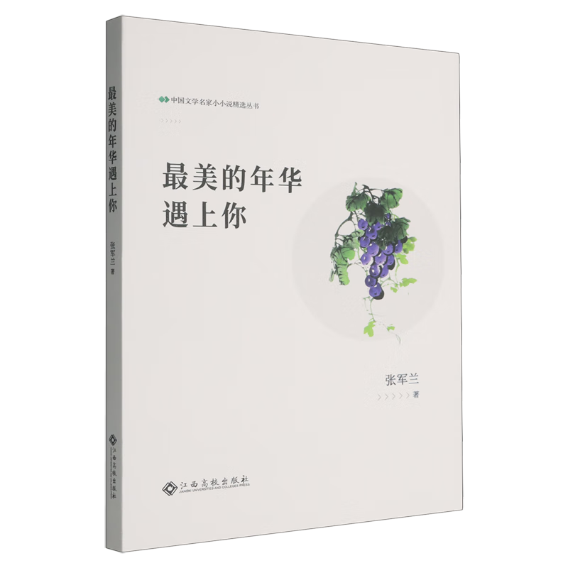 最美的年华遇上你