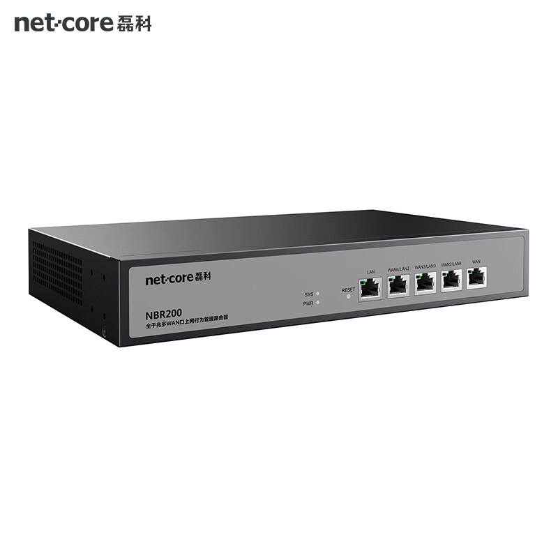 磊科（netcore）NBR200多WAN口全千兆企業(yè)級有線路由器大功率大型5口高速網(wǎng)絡(luò)寬帶商用公司用家用辦公 【5口千兆+帶機(jī)量200_】企業(yè)有線路由器 標(biāo)準(zhǔn)配置