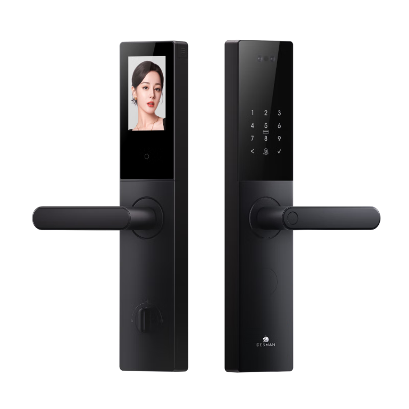 ʩDESMANè۴ָСV20F ź