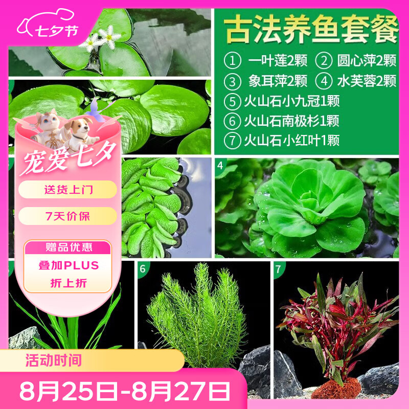 ���ˮ�ݸ�Ƽˮ������쾰ˮ��ֲ��ŷ����ˮ����ˮ�ݾ���1 Դͷֱ������