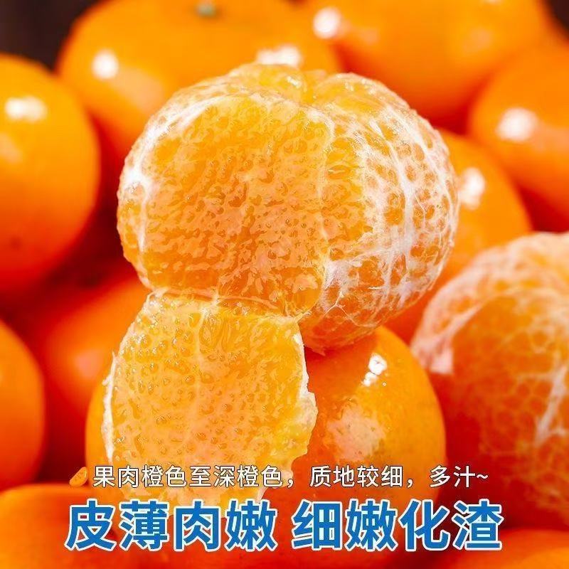 【东东农场专供】武鸣沃柑新鲜采摘现摘现发 沃柑2斤装