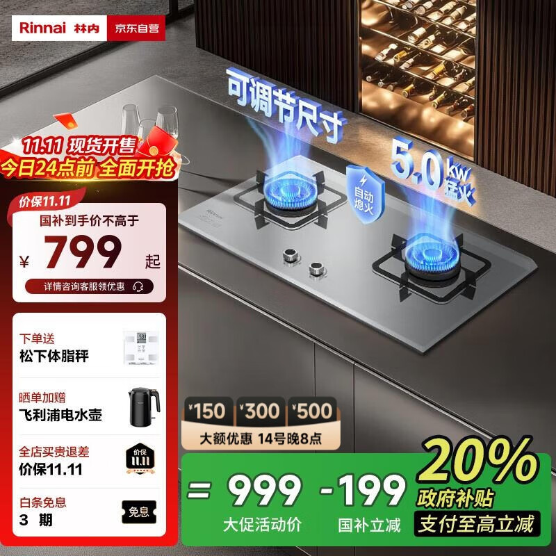 ڣRinnaiȼҵҲ20%5kW˫ͻǶʽһЧȻ ɵ2E08M