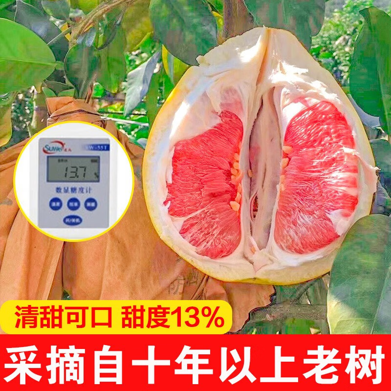 颜曼箐福建三红蜜柚红心蜜柚子【高品质】三红蜜柚子当季新鲜水果 5斤装约2-3个果 单果500-850g
