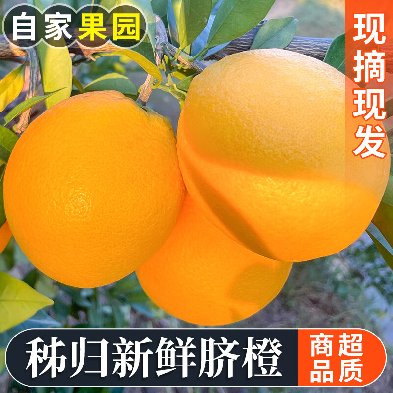 果农侠湖北秭归新鲜脐橙水果汁多皮薄高山橙子现摘现发 85mm以上 净重9斤
