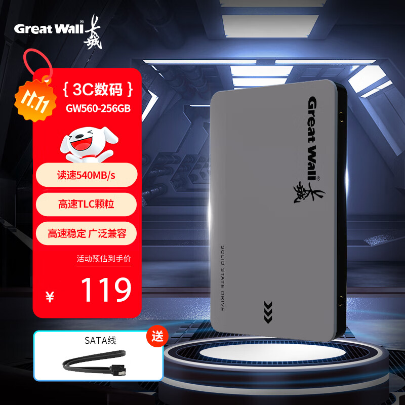 长城（Great Wall) 256GB SSD固态硬盘 SATA3.0接口 读速540MB/S台式机/笔记本通用 GW560系列 