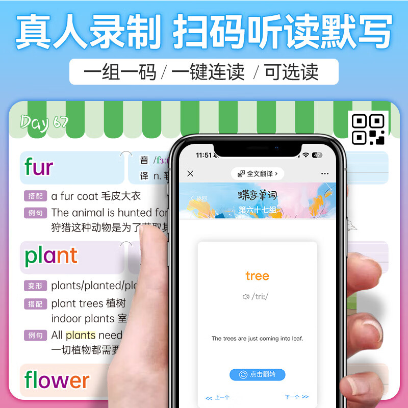 【出版社直营】蝶变学院 小学英语单词速记手册 一到六年级单词汇总 图解速记1000词小学英语学习神器单词必背 1-6年级全国通用