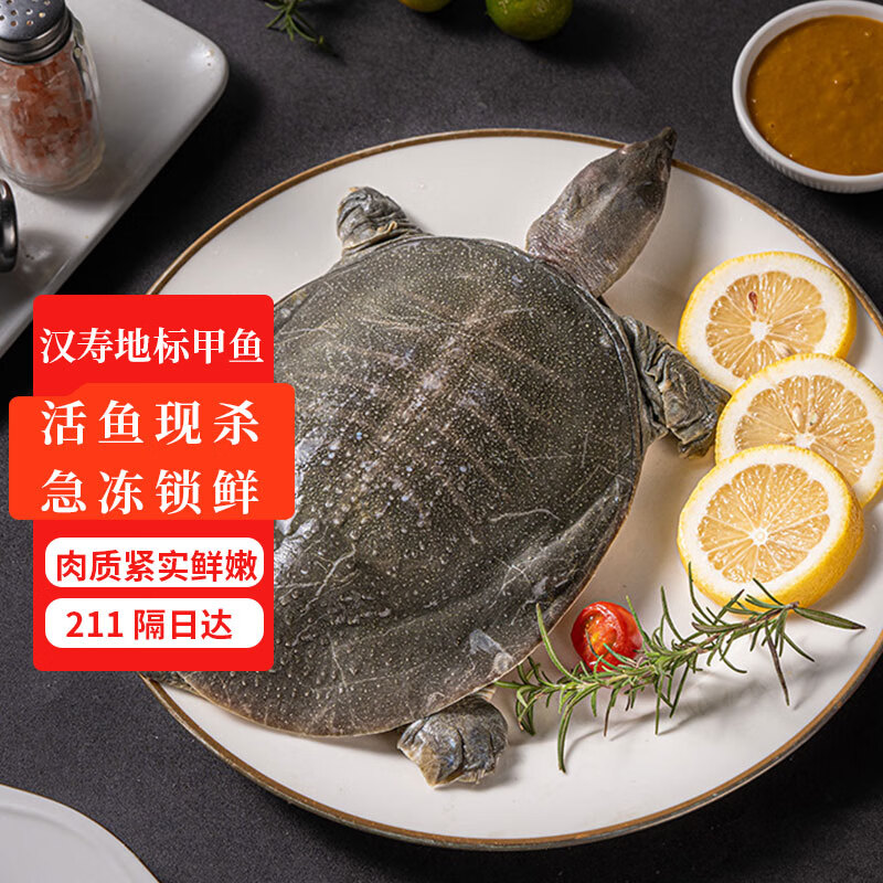 芮宝农场冷冻宰杀华甲汉寿甲鱼净重1斤生鲜团鱼海鲜水产彩盒送调料包