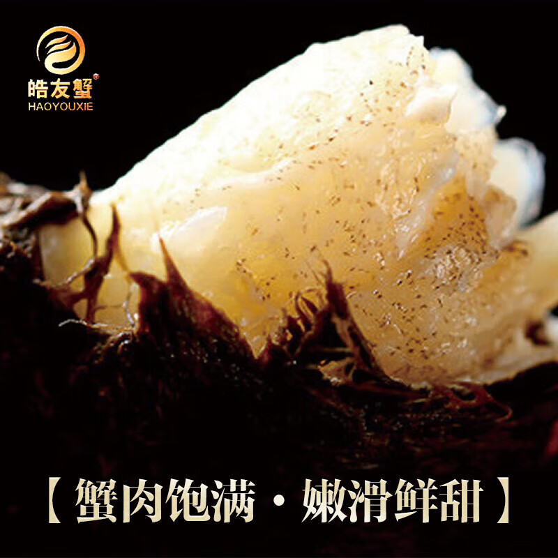 【活蟹】皓友兴大闸蟹 全母现货鲜活螃蟹生鲜海鲜中秋礼盒装 公4.0两母3.0两5对10只