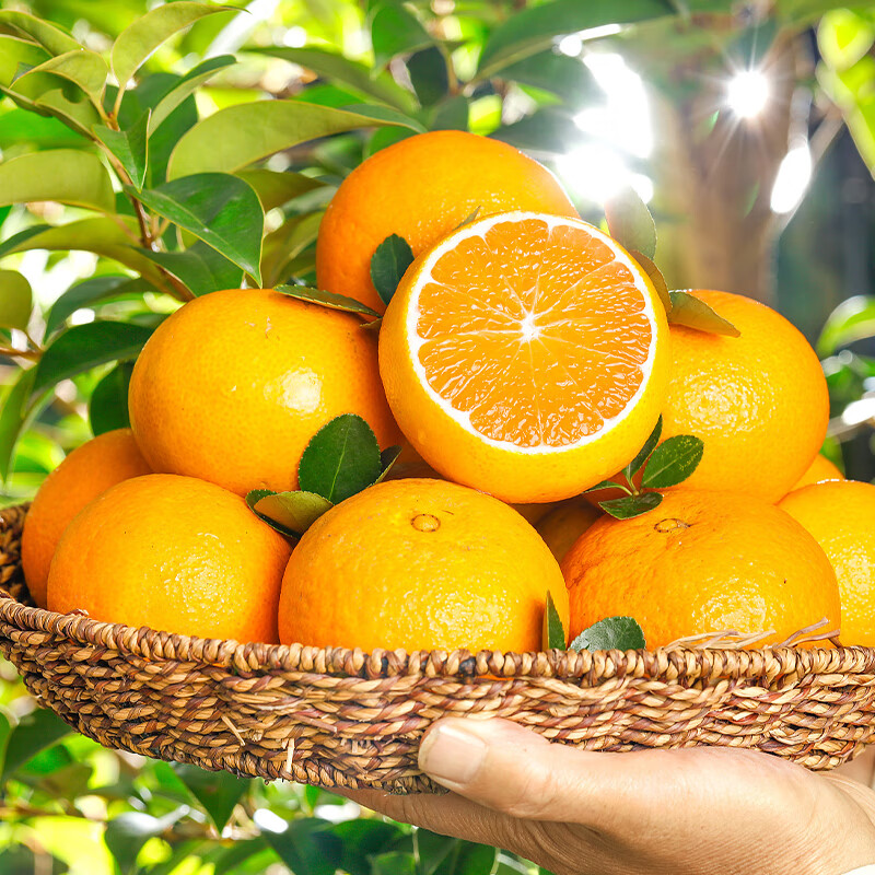 南棠爱媛38号果冻橙新鲜现摘橙子当季水果正宗四川甜柑橘蜜桔大果整箱 特选爱媛38号果冻橙 净重大约5斤