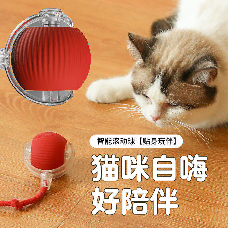 自动逗猫球自嗨解闷智能电动老鼠尾巴逗猫棒消耗体力突突球猫玩具 红色长绳款，动力加强 速度可调节