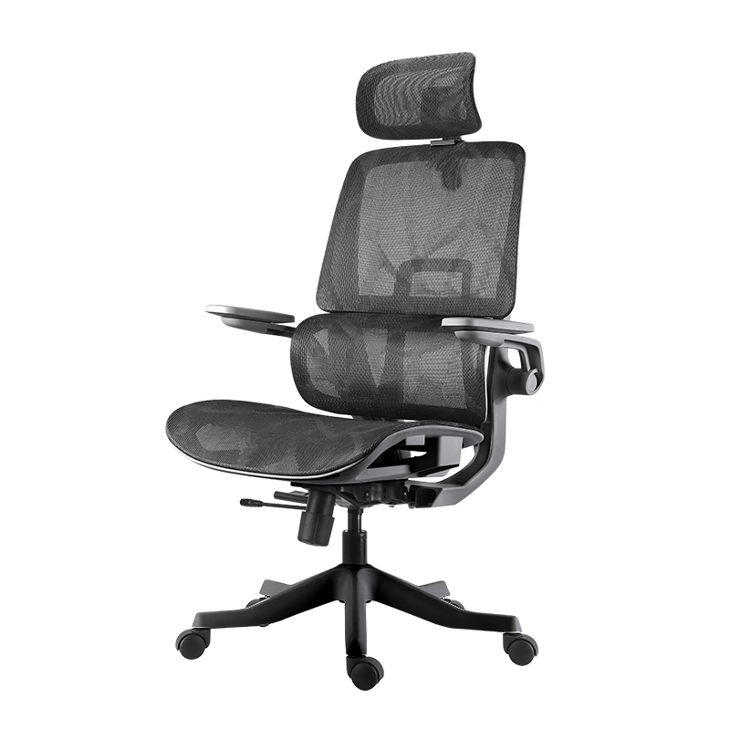 ���ڲ����������C12���幤ѧ�ε����μ��ð칫���ε羺�ξ���ѧ��ѧϰ����ת���� ��(�οջ�������+��������)+ͷ�� 685.95Ԫ(������)