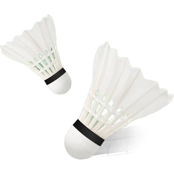 Ψʤ��ë��3/6/12ֻ�ʹ�����Ʒ���ö�ë�����������ѵ������ 3ֻװ 1Ͳ �����ͥ���� Ӳ����ͷ